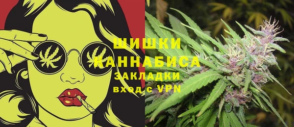 индика Костерёво